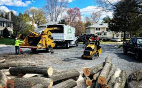 Best Leaf Removal  in Mayfield, PA